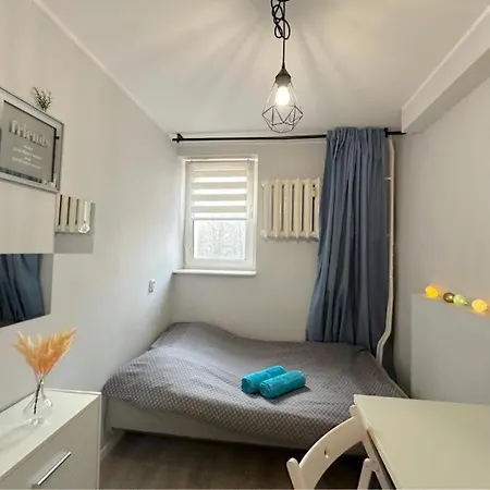 Cosy Homestay *